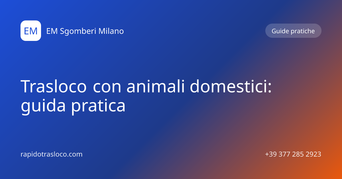 Illustrazione minimale di un gatto e un cane accanto a scatoloni da trasloco